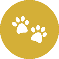 Paw-Rents Welcome
