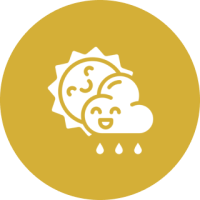 All-Weather Fun